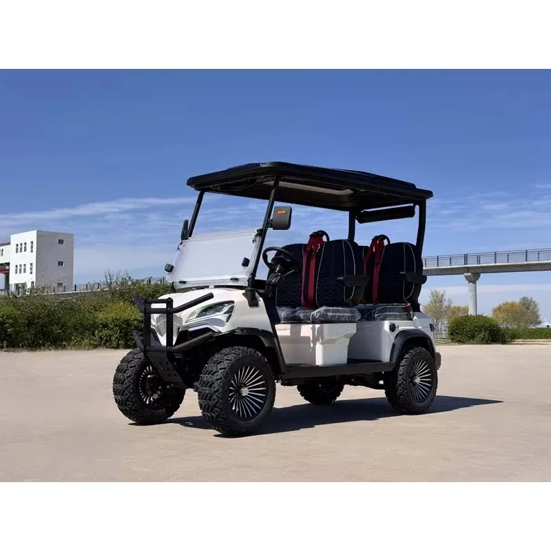 Luxury Electric Car Premium Seats Hunting Electric Golf Cart Golf Scooter Off Road Golf Cart Electric Vehicle