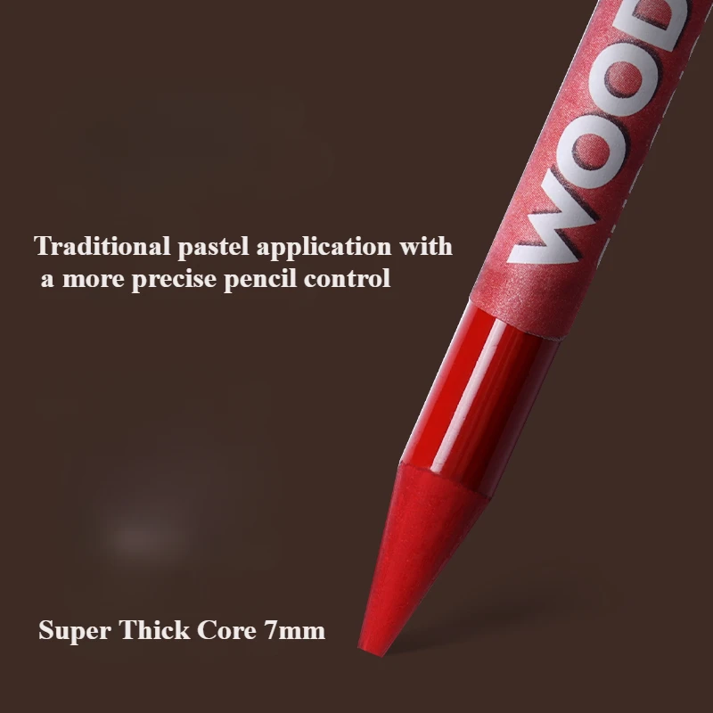 Woodless Pastel Pencils 24 Colors 7mm Core Artist Grade Chalk Charcoal Pencil Great Blending and Layering Sketching in Case