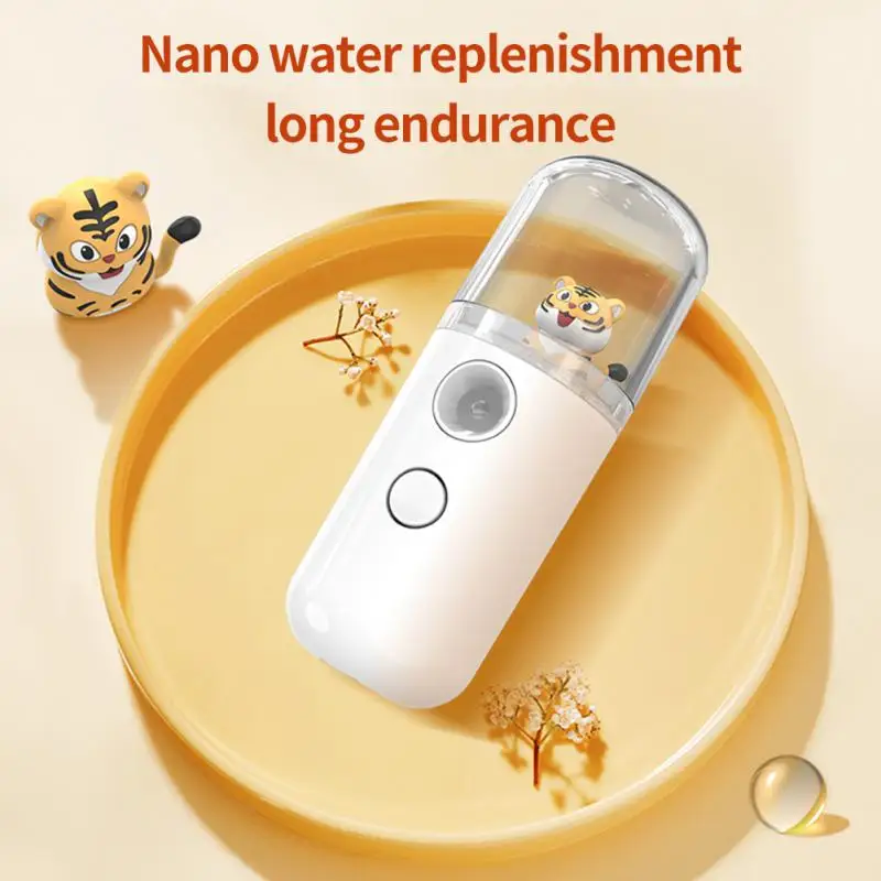 30ml Mini Nano Facial Sprayer USB Nebulizer Face Steamer Beauty Humidifier Portable Face Moisturizing Steamer Skin Care