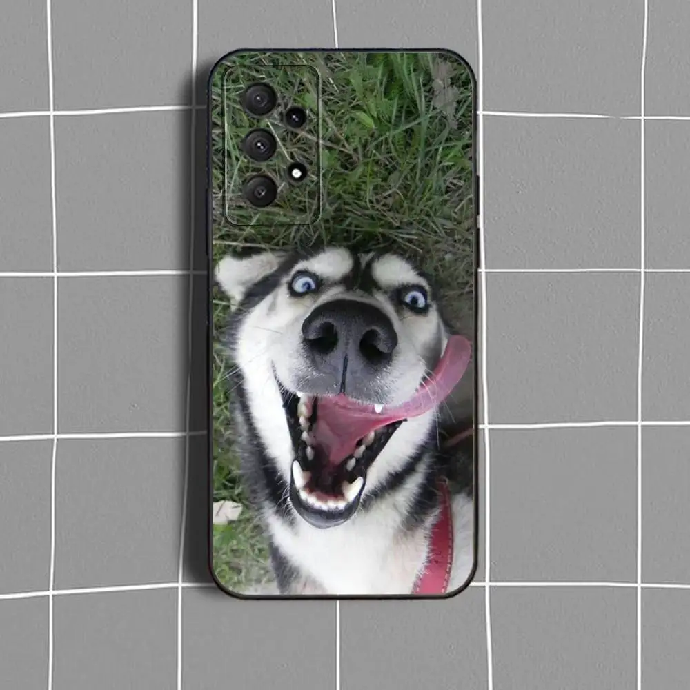 حافظة لهاتف سامسونج جالاكسي A73,31,32,72,41,53,52,71,22,5G,Note,J7,8,9 غطاء أسود ناعم