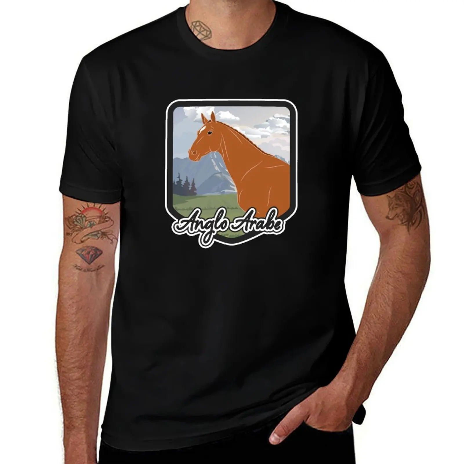 Camiseta de caballo anglo-árabe, costa de armas y escudo de castaño, caballo de montar, razas de caballos de Francia