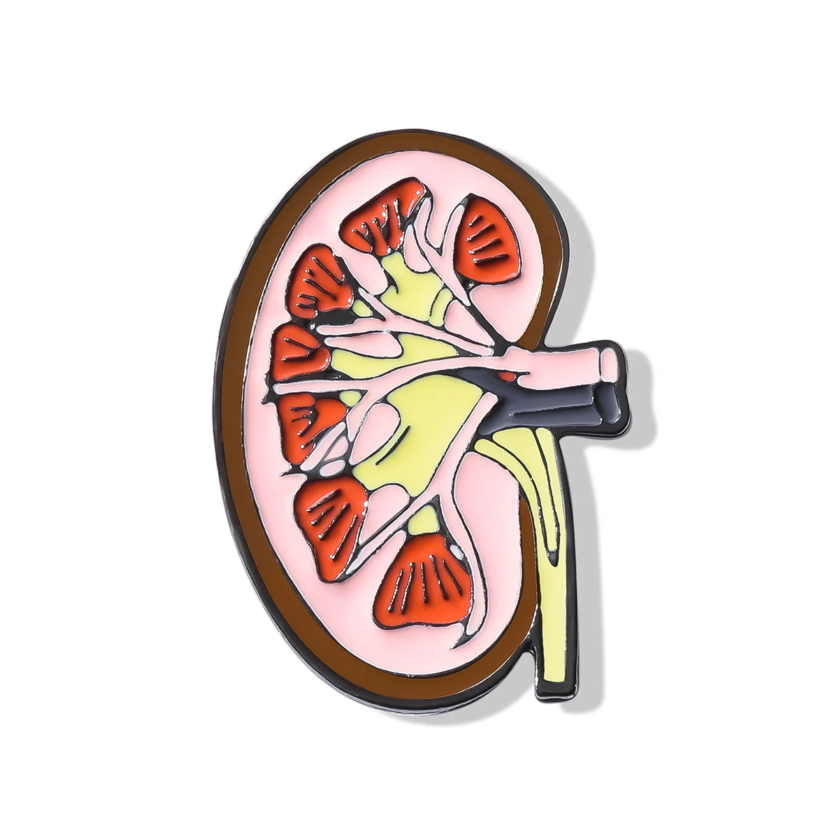 بروش دبوس لتشريح جهاز الكلى من Catuni ، شارة طية صدر بشريط طب طب المينا الكرتوني ، هدية مجوهرات للطبيب والممرض