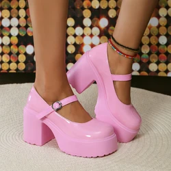 Hot Pink Princess Shoes for Women Chunky Platform Super High Heels Mary Janes Shoes Woman Pumps Thick Heeled Y2K Lolita Shoes