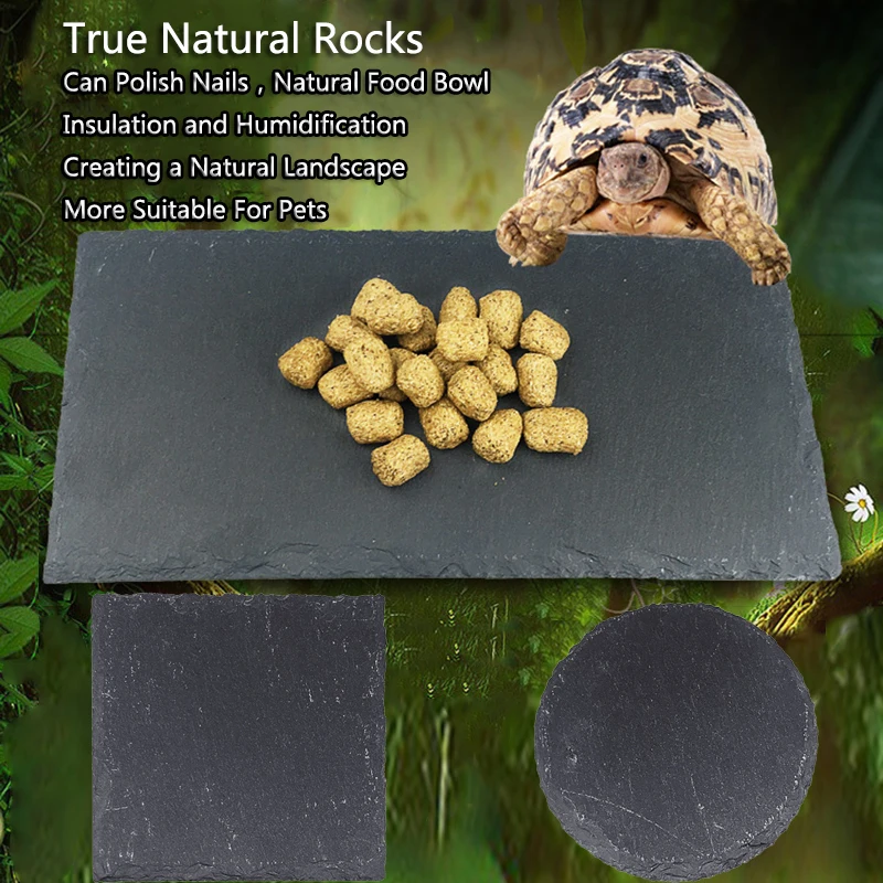 Tortoise Slab Mat Natural Rock Food Bowl Plate Climb Pet Reptile Box Original Ecological Aquarium Landscaping terrace Rest