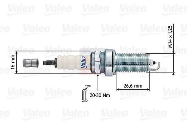 Store code: 246889 for spark plug BINEK (imported)