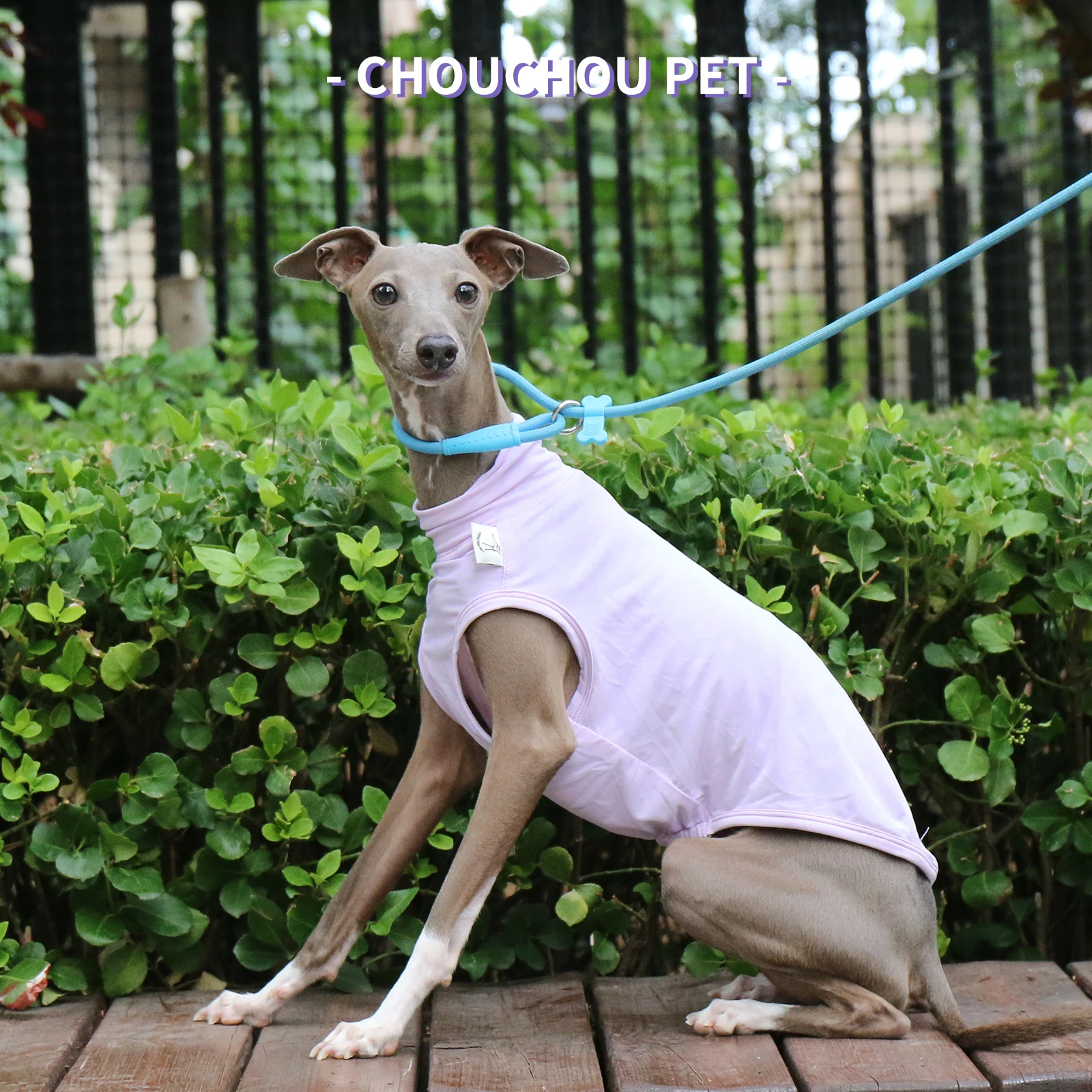 Purple summer sun protection ice sense Italian Greyhound Whippet outdoor vest suitable for small and medium dogs dog clothes