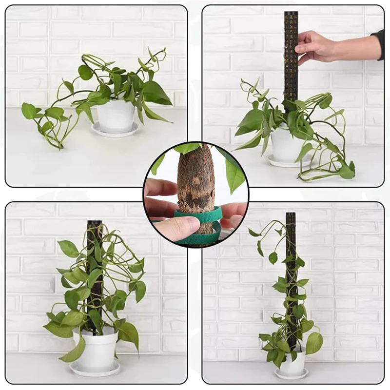 6 Pieces Monstera Trellis Moss Stick Indoor Plants Coconut, Plant Stake, Moss Pole, Climbing Aid