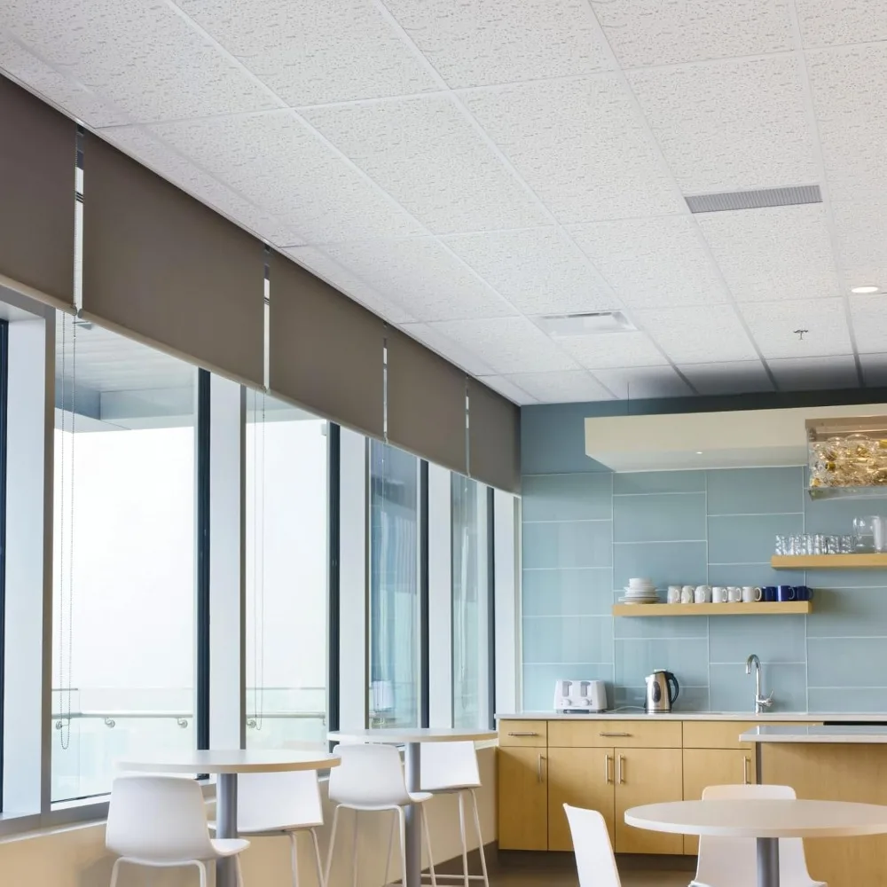 Carreaux de plafond 2x4 - 12 pcs Blanc ; Plafonds acoustiques pour grille suspendue ; FISSURED 755