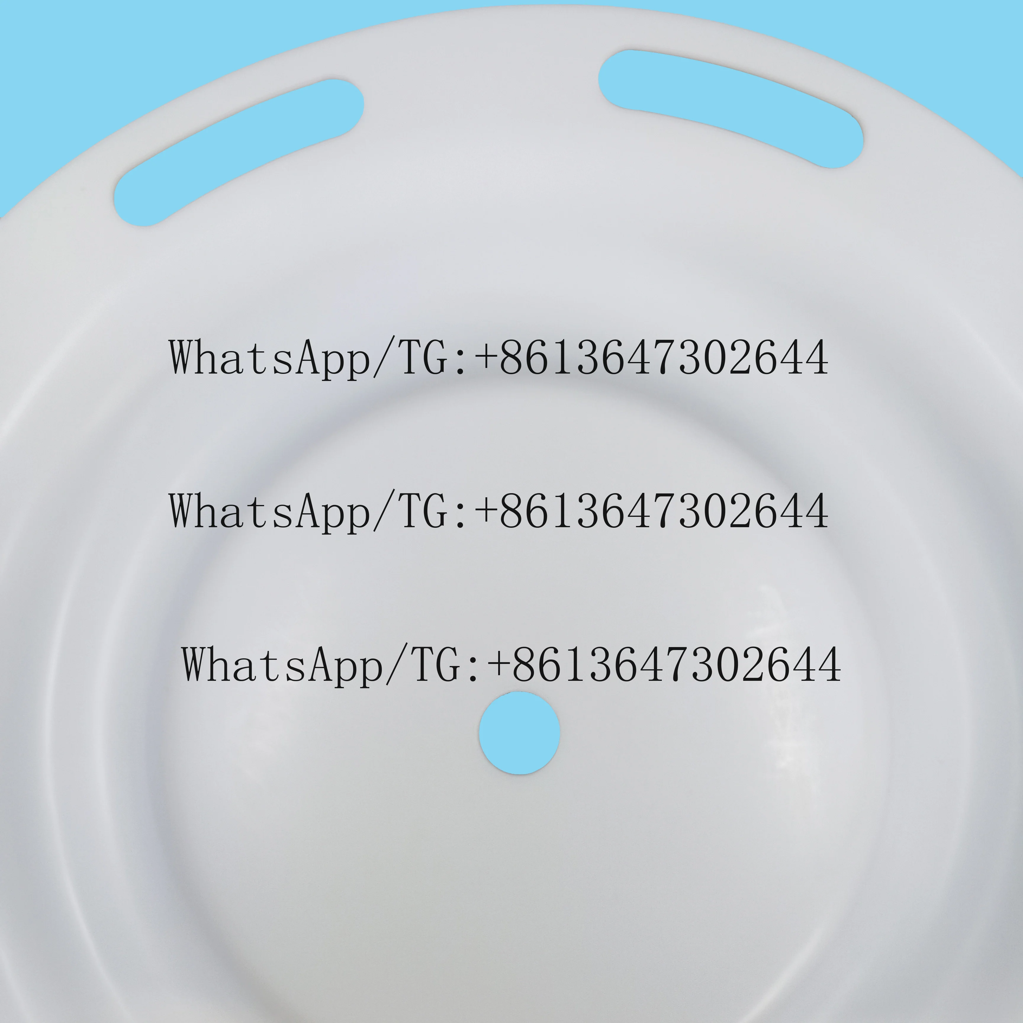 

Ptfe Diaphragm 286-119-600 for Sandpiper Pneumatic Diaphragm Pump Customized