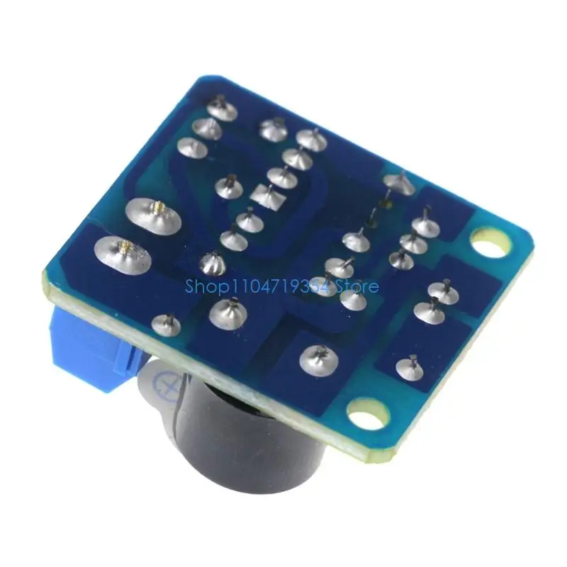 0XLD 9V 12V Battery Monitor Protective Board With Low Cut Off And Anti Reverse Feature Suitable For Automotive Marine