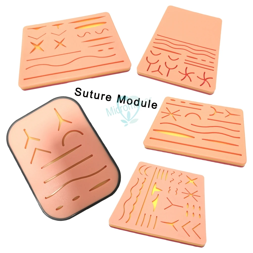 

1pcs Dental Suture Model Medical Students Oral Debridement and Knotting Simulation Skin Wound Silicone Acupuncture Module