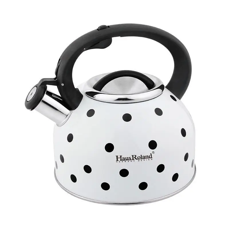 304 Stainless Steel Thickened Horn Large Capacity Gas Kettle Domestic Kettle Gas Stove Induction Cooker - view 4