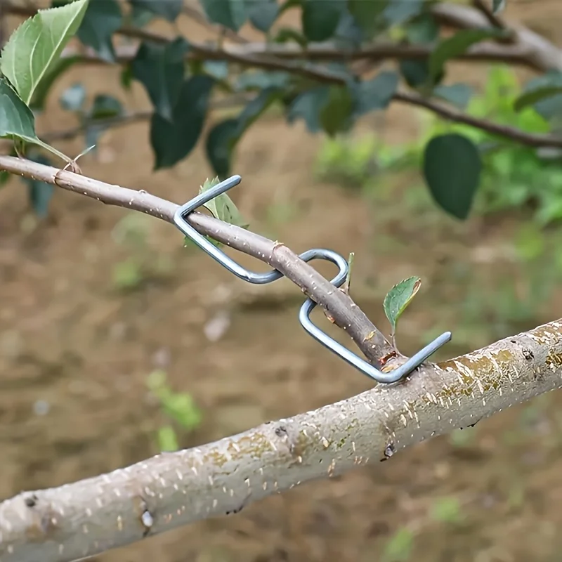 50/100Pcs Tree Branch Benders, Reusable Fruit Limb Spreader, Manual Shaping Fixing Tool for Orchard Gardening, No Power Required
