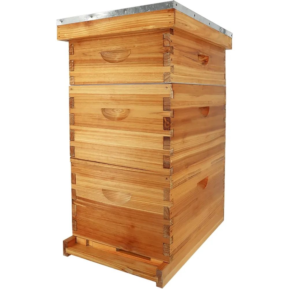 

Frame Langstroth Bee Hive Полный комплект пчелиного улья с покрытием из пчелиного воска включает в себя рамы для улья и вощеные основы для пчеловодства