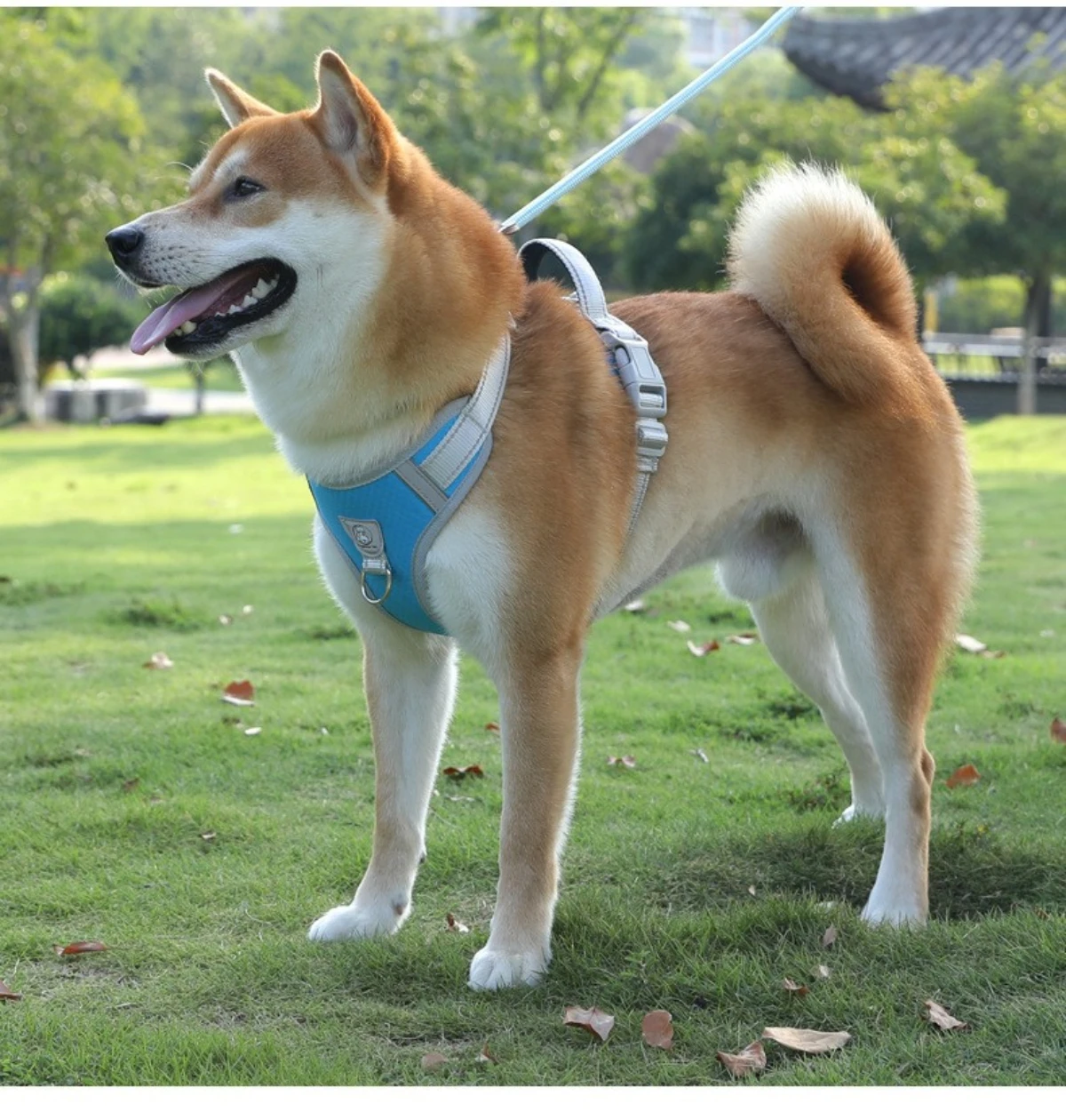 Hundeleine für große Hunde, universelle Sicherheitsschnalle Hundekette, P-Kette Anti-Verlust Hundeleine