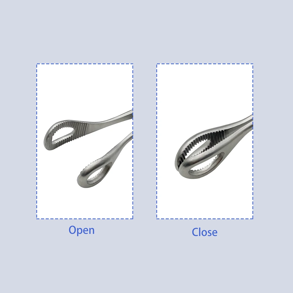 Orthopedic Toothed Oval Cervical Forceps Stainless Steel Surgical Tissue Forceps