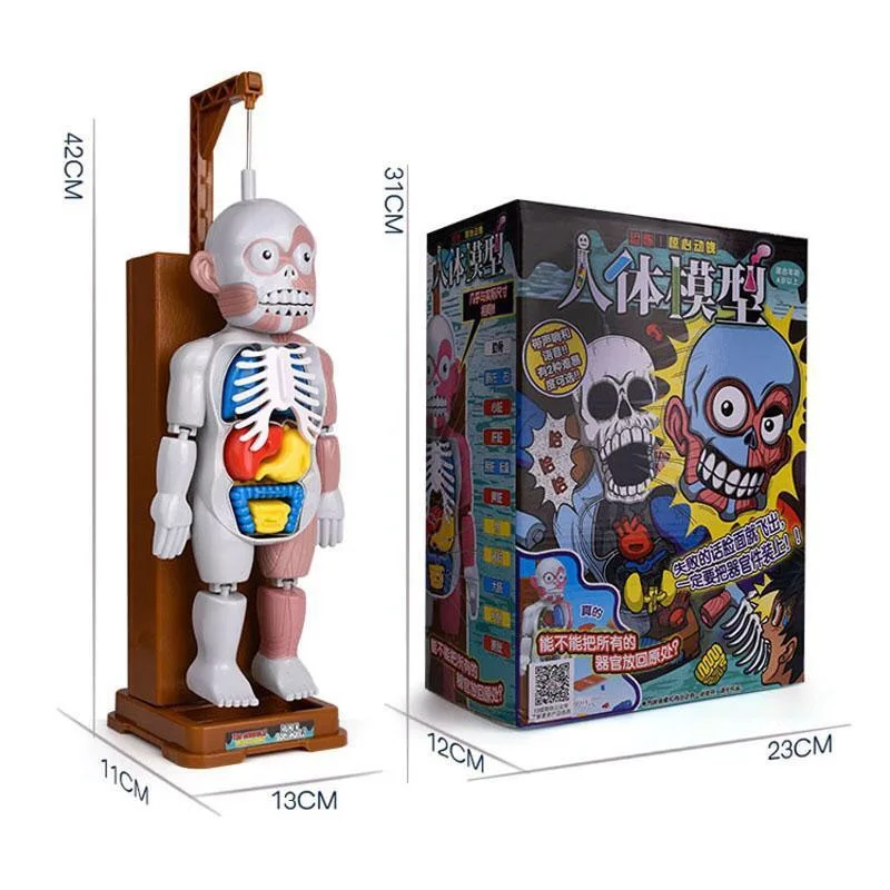 ของเล่นแปลกใหม่รูปทรงร่างกายมีเสียง ตลกขบขัน ของเล่นเล่นสนุก เกมปาร์ตี้ ของเล่นแบบอินเทอร์แอคทีฟ สำหรับเด็กและผู้ใหญ่ ของขวัญสุดสร้างสรรค์