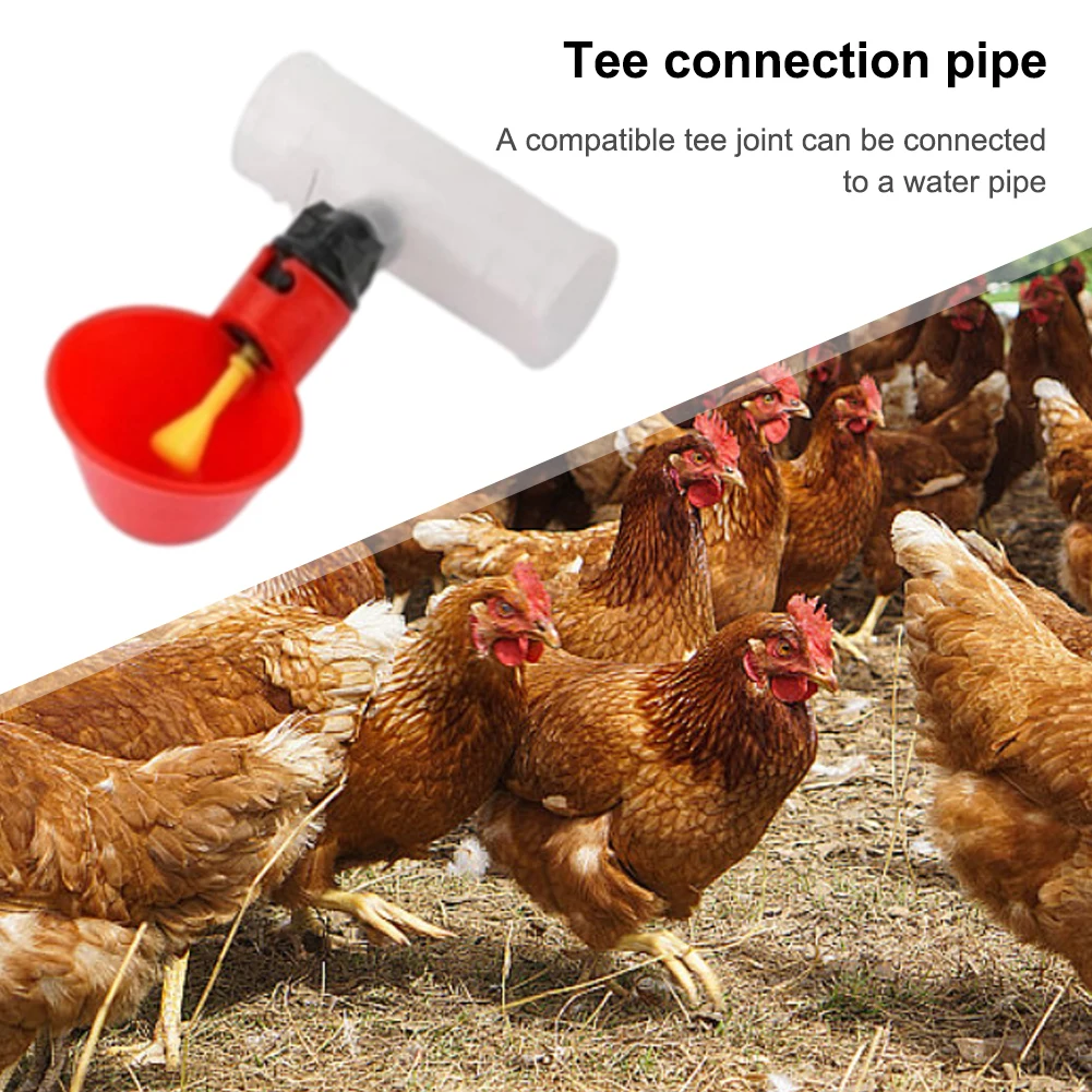 6pcs Tee PVC Pipe Fitting 25/20mm Plastic T-Shaped Coupling Connector Bird Drinker PVC Tee Fittings for Threaded Poultry Nipples