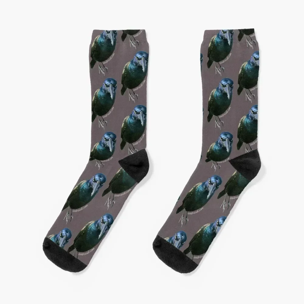 

Count Grackula Socks sheer cool funny gift Men's Socks Luxury Women's