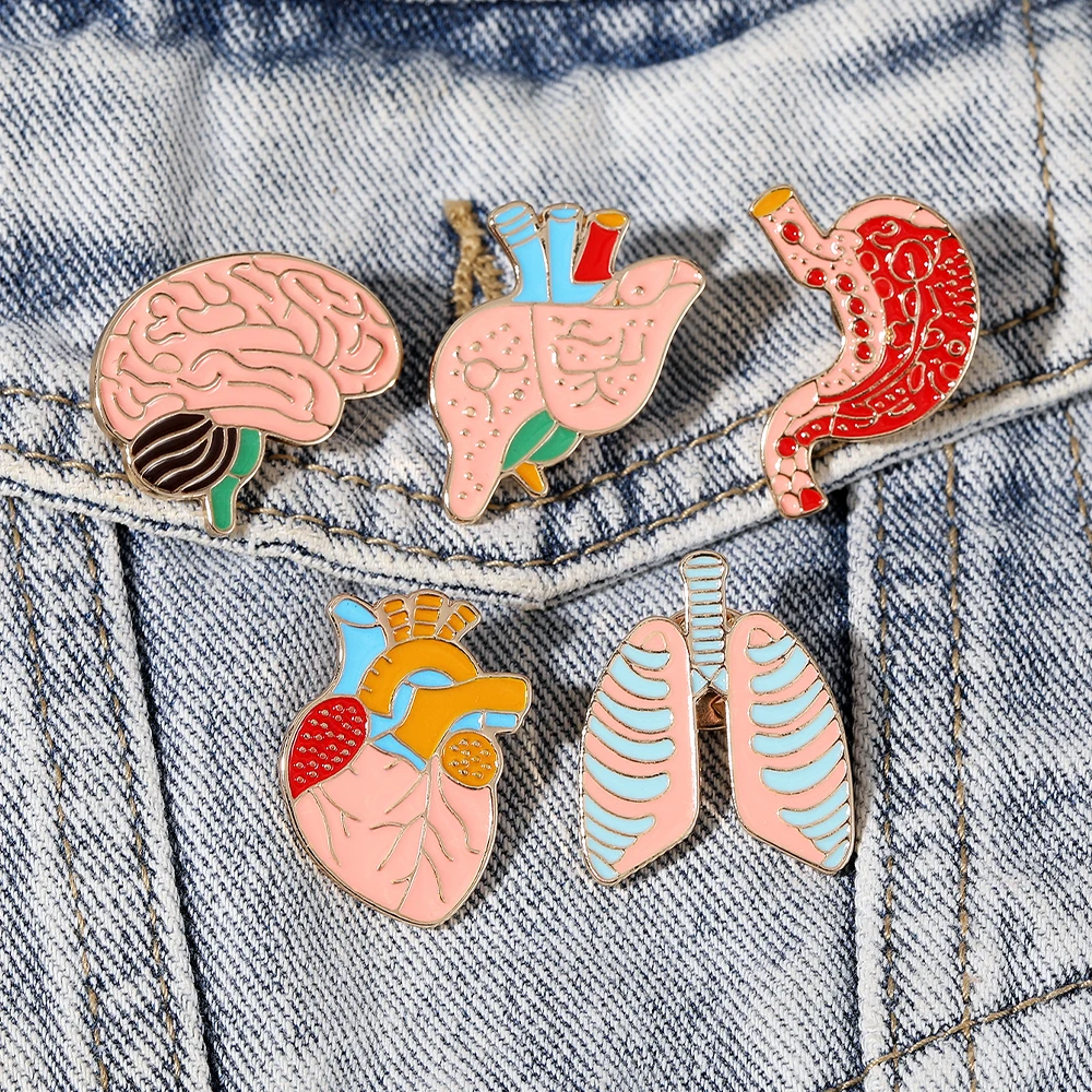 Pretty Body Parts Collection Brooches Personality Liver Stomach Lung Heart Brain Shaped Enamel Pins