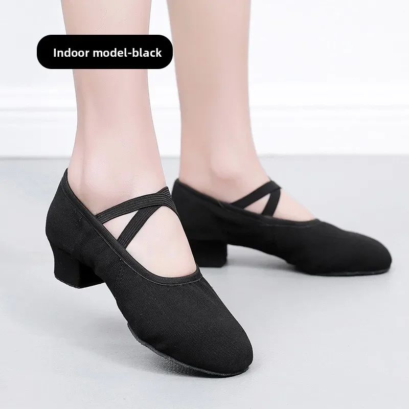 New Four Seasons Women Ballet Shoes Lady Soft Sole Non-Slip Teacher Shoes Adult Mid-Heel Dance Shoes Dance Practice Performances