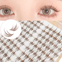 Caramel Colored Sunflower Eyelashes Trilogy, Fake Eyelash Available for Beginners, Japanese and Korean Lashes