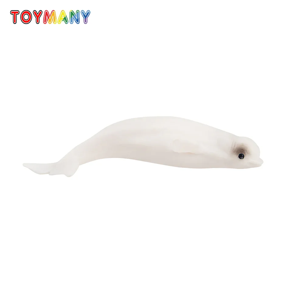 

Toymany Simulation Beluga Ocean Animal Model Toy Mini Figures Dolls Action Figurines Toys Children Gift Cake Decoration
