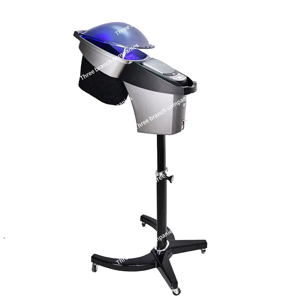 

Big Micromist Professional Ultrasonic Micro Mist Ozone Hair Salon Steamer with Stand&Hair SPA Standing O3 Hair Steamer