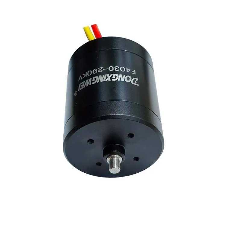 F4030 Waterproof Brushless Motor, Underwater Goldfish Tank Brushless Motor, Water Toy Boat Model Submarine Motor