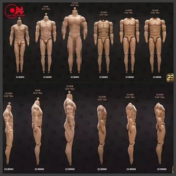 23TOYS 1/6 Scale 23-BD001-BD006 Male Soldier Standard Muscle Joint Body Male Soldier Action Figure Articulate Body