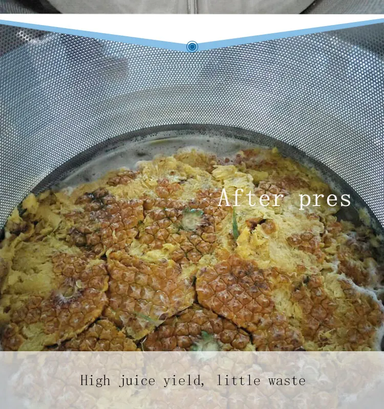 آلة صنع العصير/عصارة الصحافة الباردة الصناعية | عصارة الصحافة الباردة التجارية