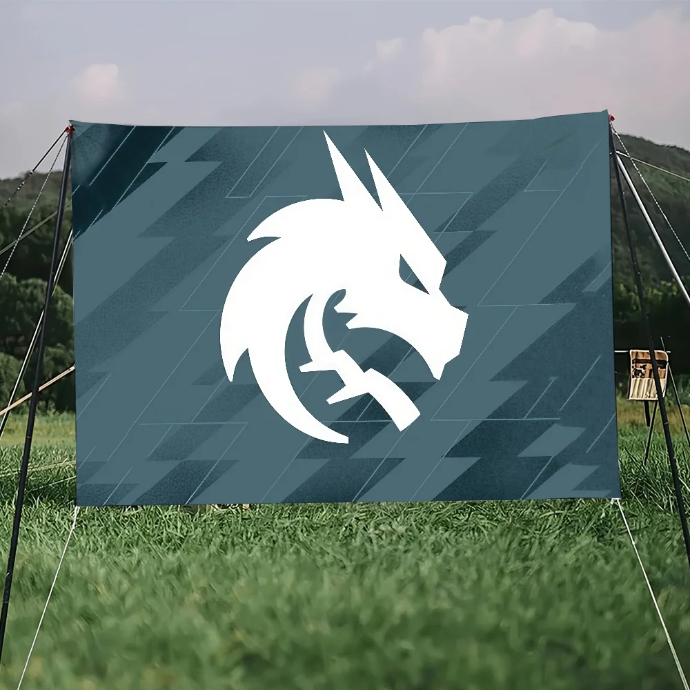 flag Spirit Art Cs2 Sci Fi Room Game Home Decor Team Wall Mount Home Decor Banner