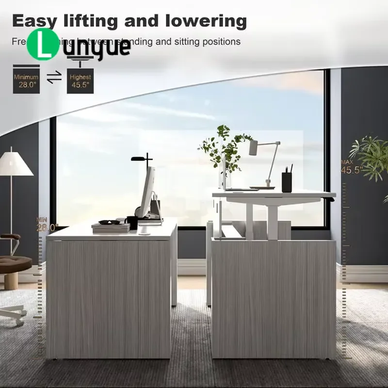 Electric Ergonomic Standing Desk Height Adjustable Workbench with Privacy Panel Soundproof Screen for Home Office Workspace