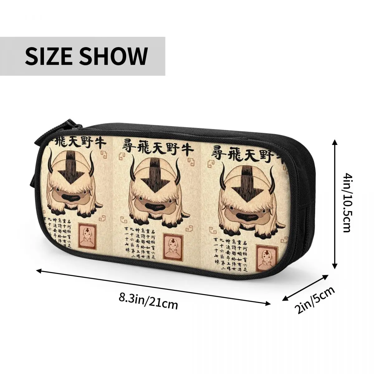 Étuis à crayons Avatar pour étudiants, le dernier maître de l'air, affiche Lost Appa, sacs à stylos de grande capacité, boîte à stylos, poudres à crayons pour garçons et filles