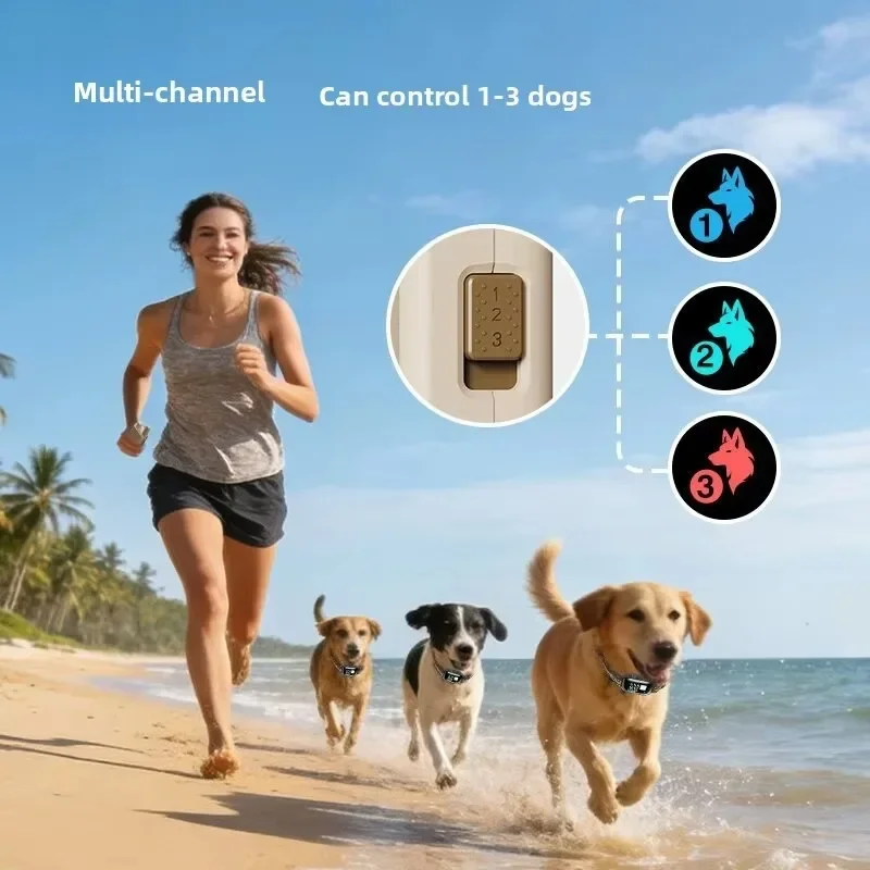 Electric Dog Training Collar Digital 1000m Remote Control Shock Vibrator IPX7 Waterproof Pet Dog Bark Control Stop Collar view 5