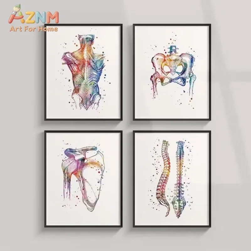 AZNM Human Anatomy Canvas Wall Art Watercolor Spine Pelvis Shoulder Back Muscle Print Poster Colorful Skeletal Medical Art for C