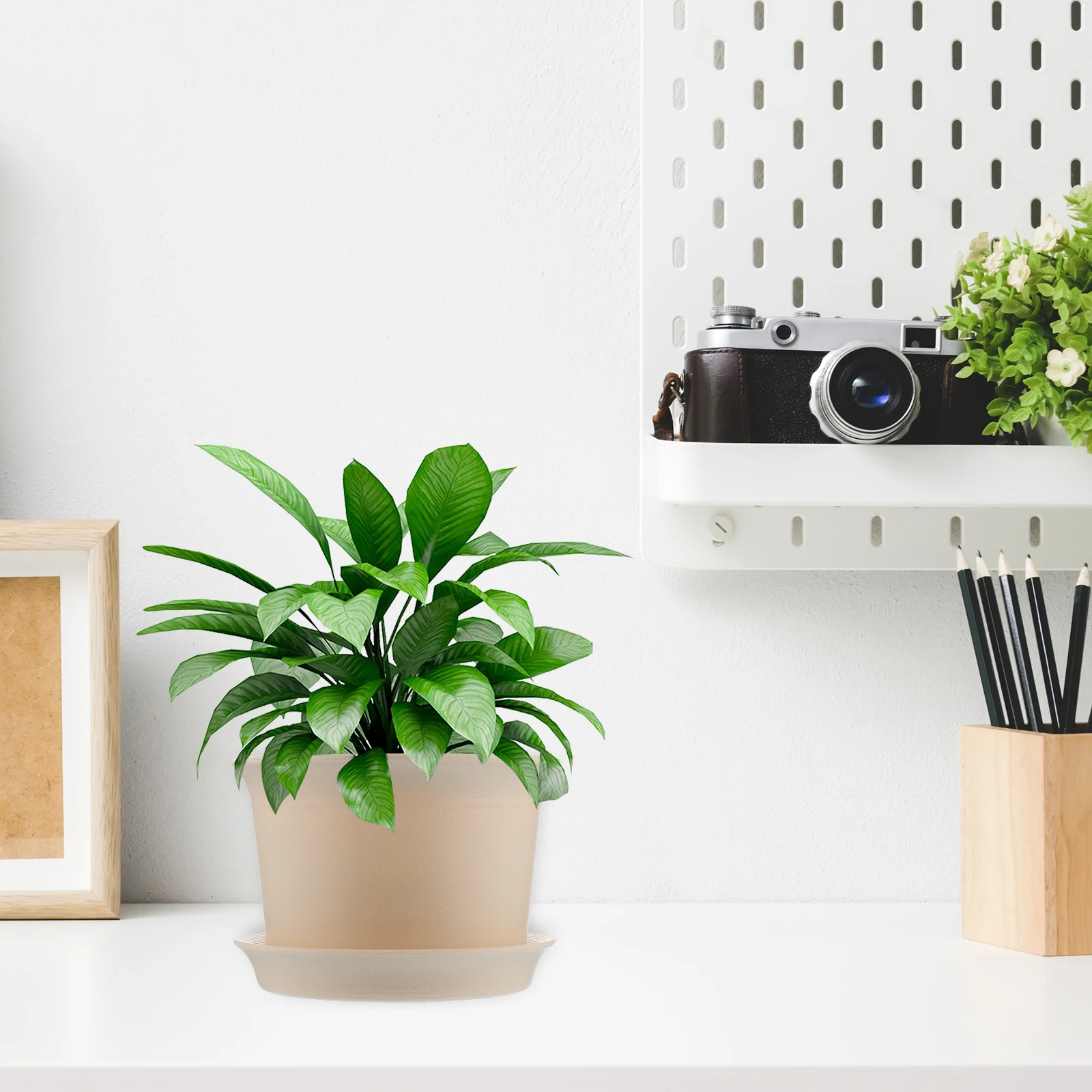 

Пластиковый цветочный горшок, прочный, экологически чистый, маленький пластиковый горшок для растений, комнатный контейнер для сочных растений, блюдце