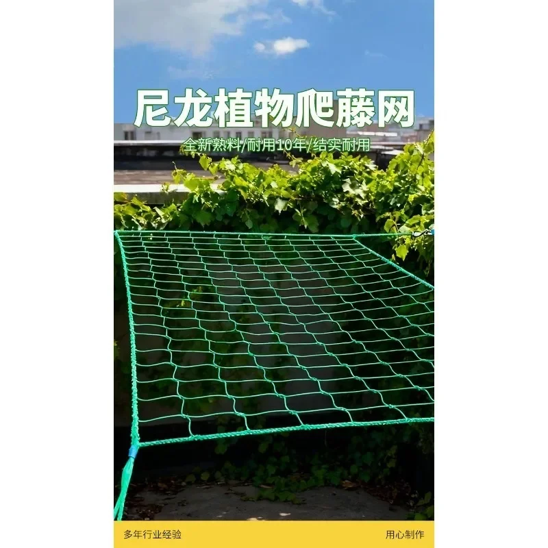 Plant Climbing Net Garden Trellis Mesh Support Net for Passion Fruit Loofah Cucumber Vine Crops Growing