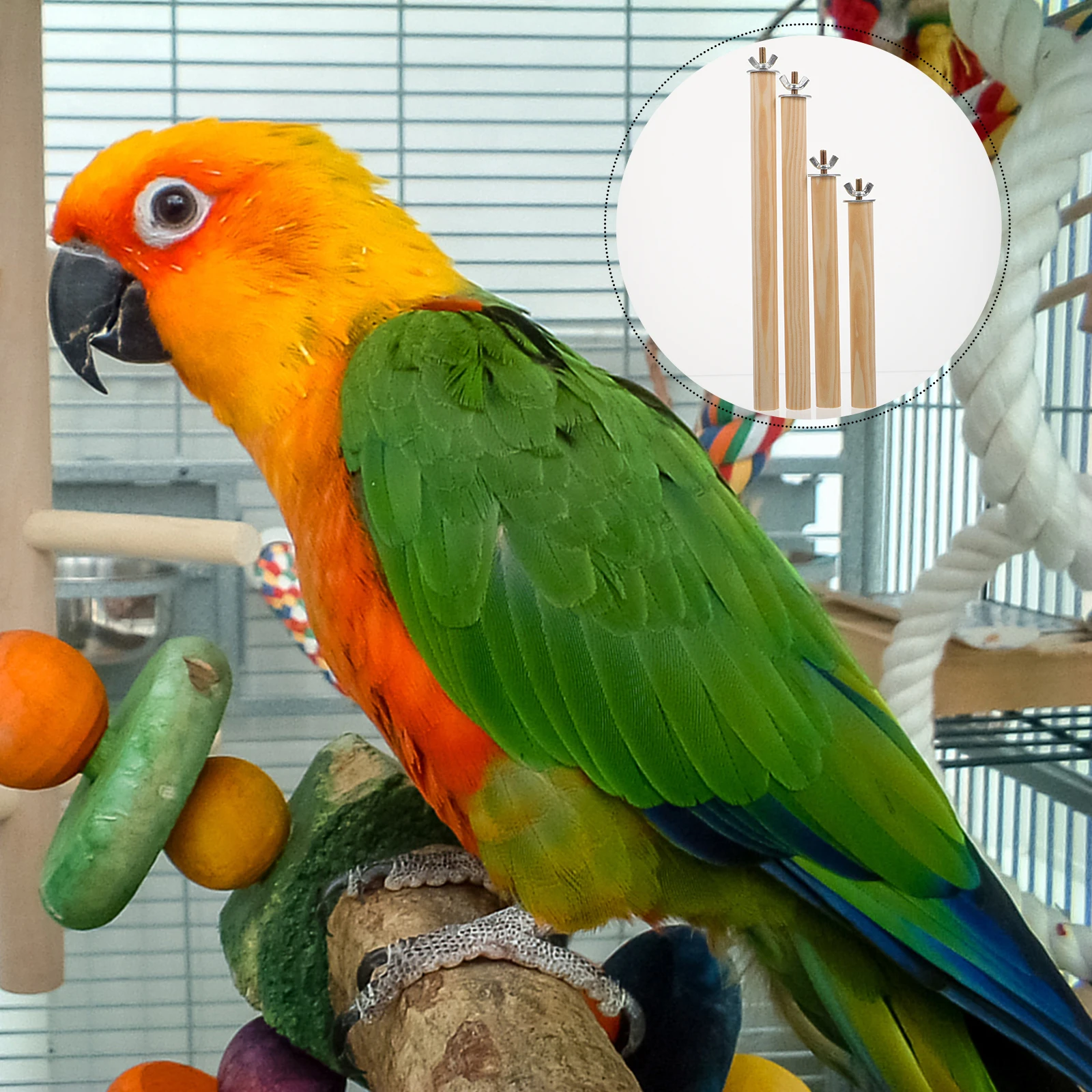 

4pcs Parrot Standing Rods Natural Wood Bird Perch Safe Cage Accessory Sturdy Exercise Pole For Pet Birds Medium Small Size Mix