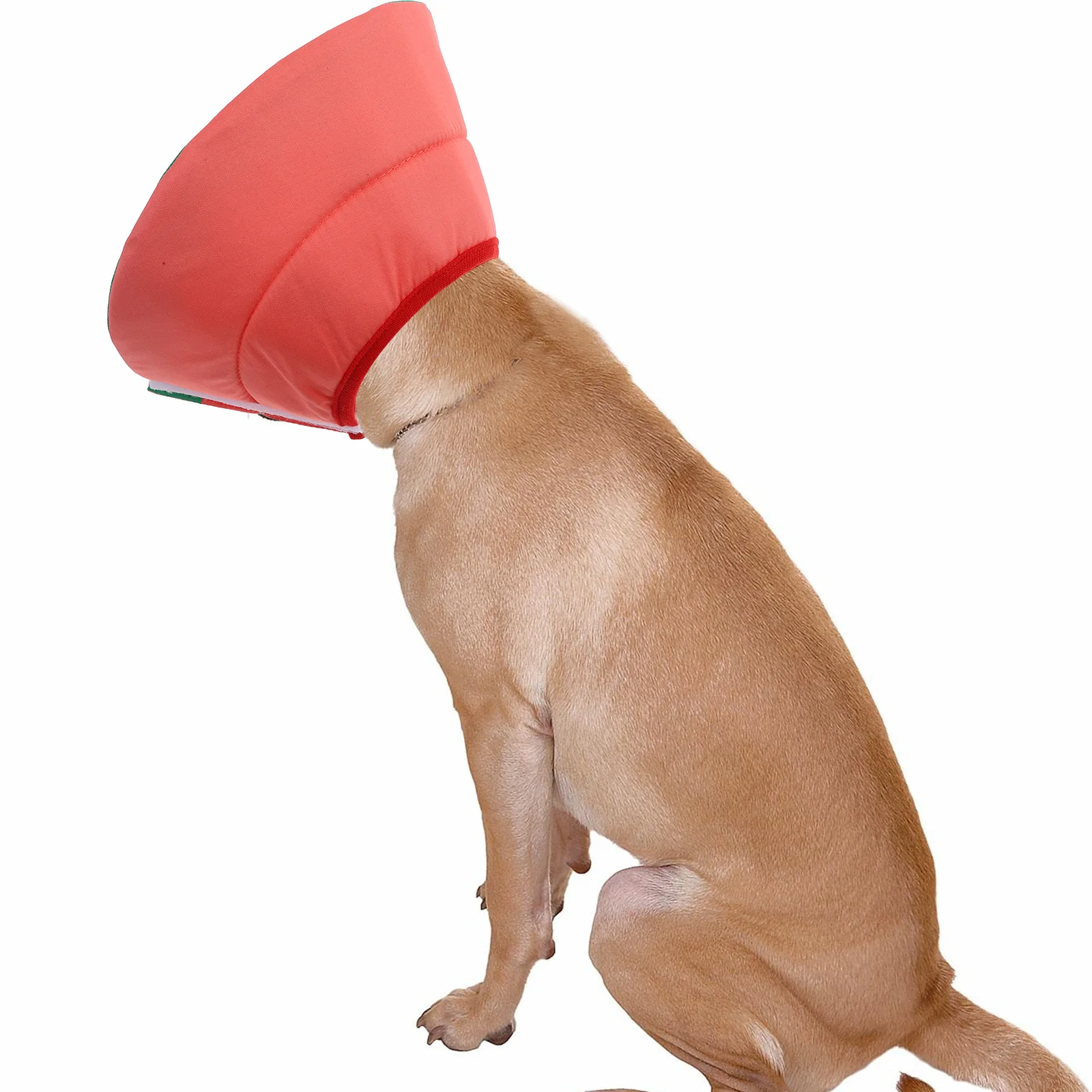 

Soft Pet Protective Collar For Cats Dogs Post- Neutering Comfortable Safe Elizabethan Style Anti-Lick