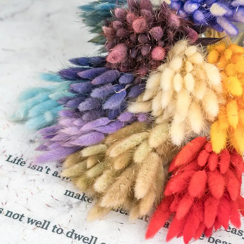 50Pcs Natural Dried Flowers Pampas Floral Bouquet Boho Country Home Decoration Rabbit Tail Grass Reed Wedding Decor Arrangement