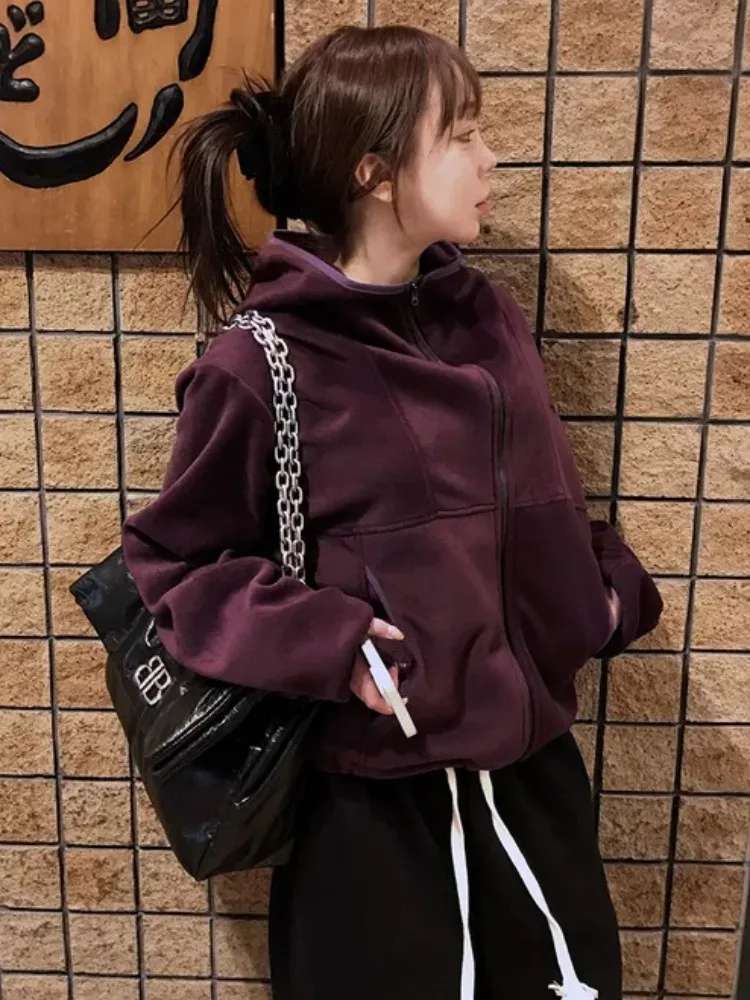 Fashionable Spliced Stand Collar Color Block Hoodie Jacket Women's Autumn Winter Street Style Design Sense Casual Top