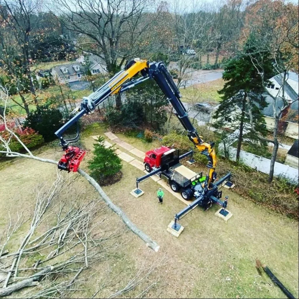 

EWood Grapple Cutting Chain Saws Remote Control Grapple Saw Tree Timber Harvester Hydraulic Tree Sawing Machine For Excavator