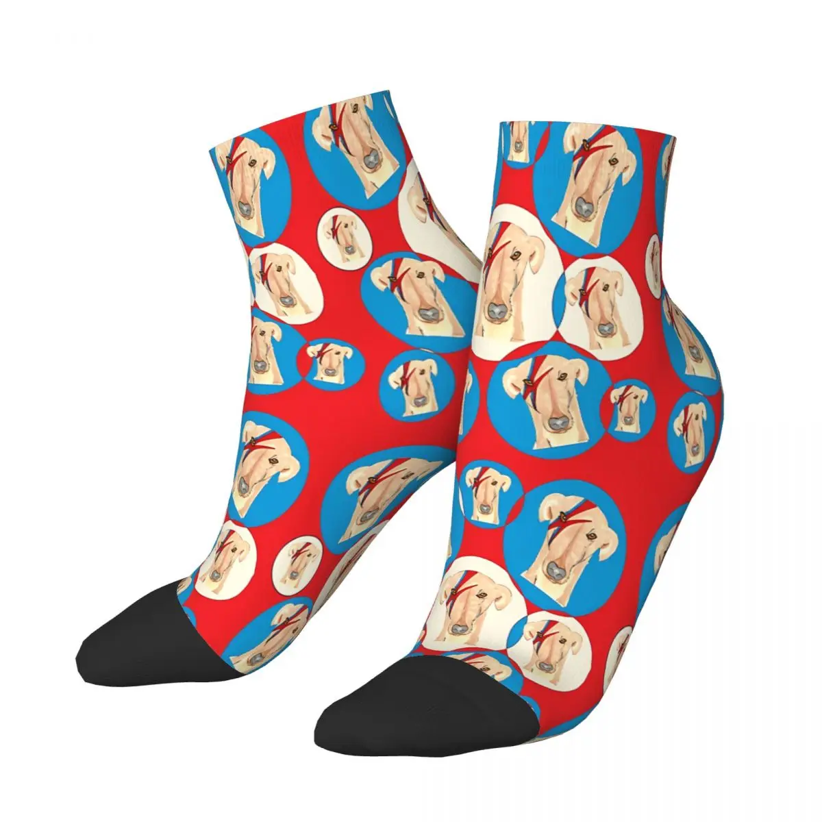 Ziggy Stardog Bubbles Geryhound Greyhounds Dog Ankle Socks Male Mens Women Spring Stockings Hip Hop