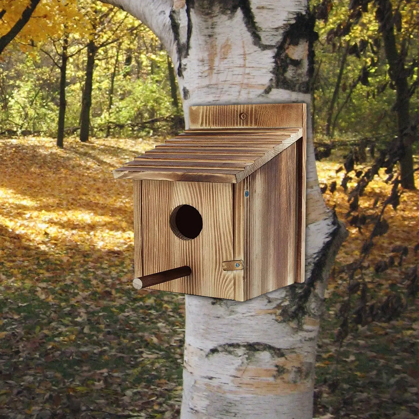 Casa nido y comedero para pájaros – Madera para exterior - imagen 3