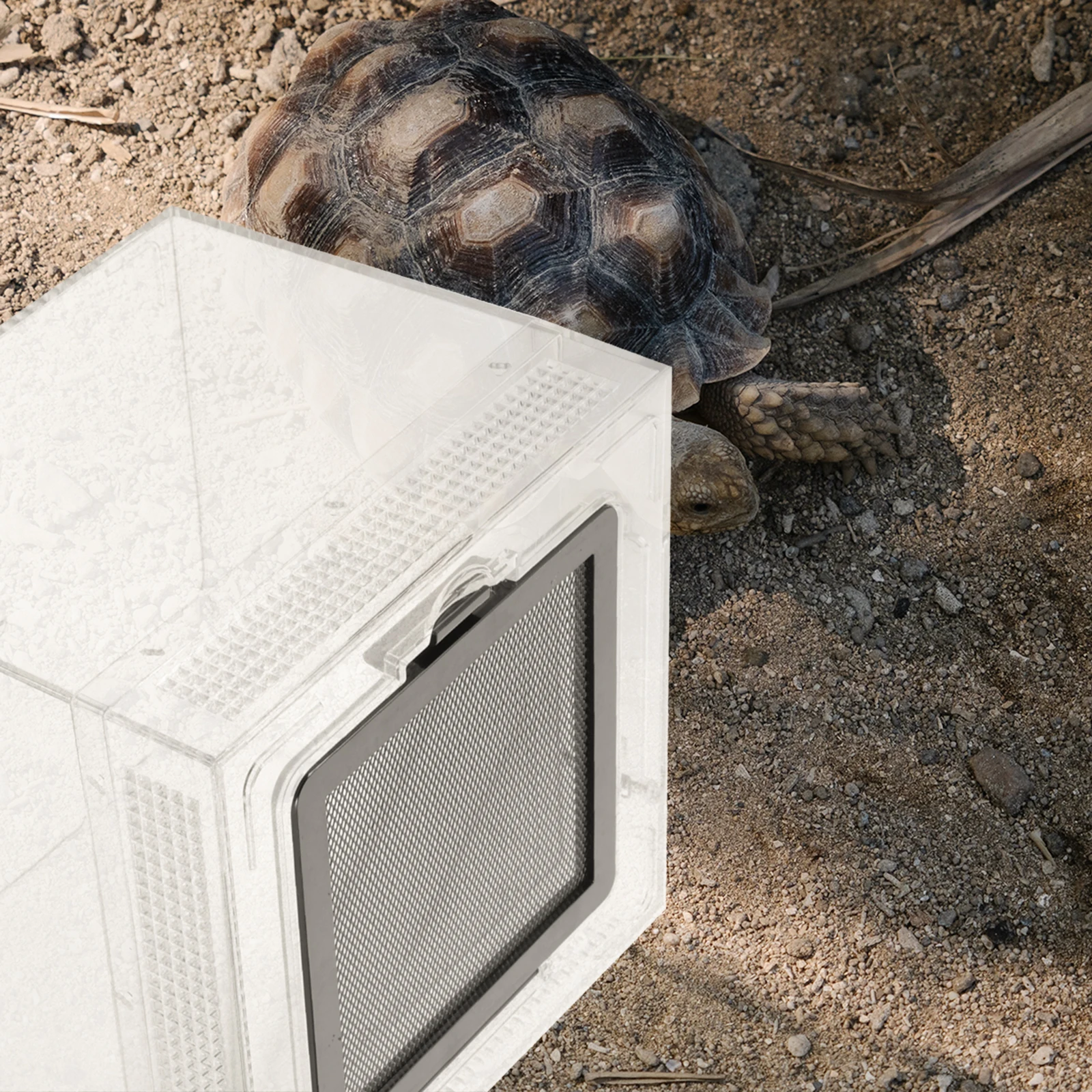 

Creative Reptile Breeding Box Transparent Enclosure Magnetic Seal Breathable Design Durable High Temp Resistant Lizard Spider