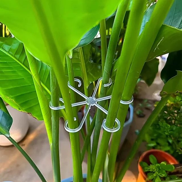 Flower Plant Stem Support Stakes Climbing Houseplant Stand Frame Plastic Garden No Stake Trellis Indoor Plant Holder Rack Hoops 2 Flower Plant Stem Support Stakes Climbing Houseplant Stand Frame Plastic Garden No Stake Trellis Indoor Plant Holder Rack Hoops 2