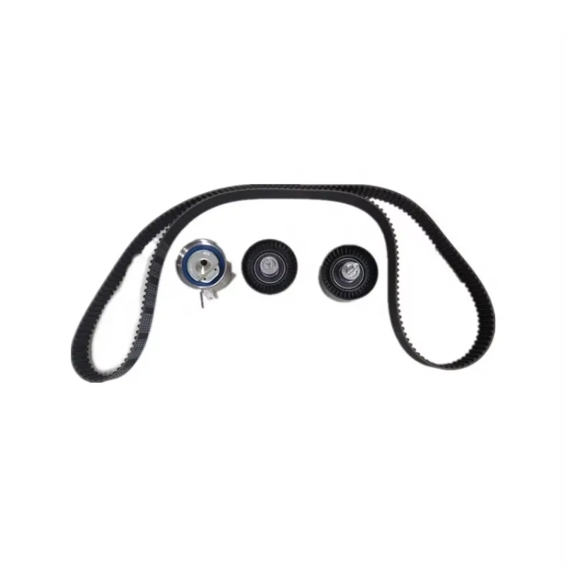 

5300456100 Timing Belt Kit Timing Chain Kit MAXUS V80 LDV V80