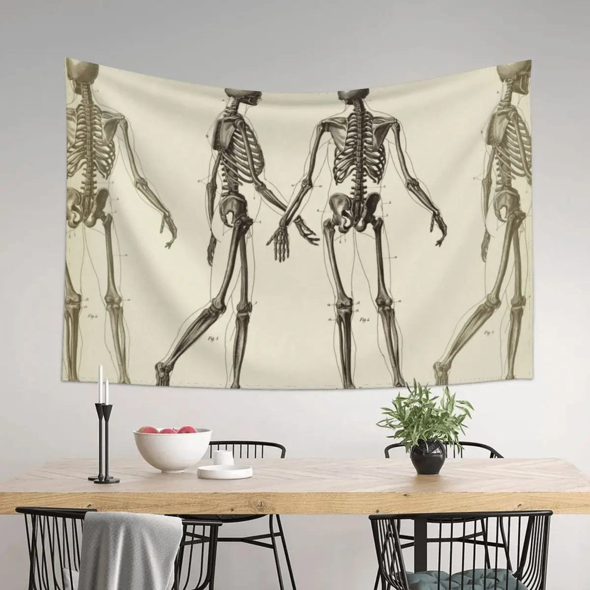 

Human Skeleton. Anatomy drawing Tapestry Room Decor Cute Wallpaper Room Ornaments Tapestry