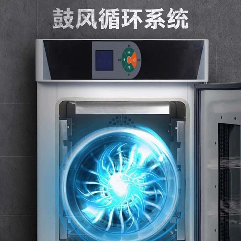 Biochemical incubator Constant temperature and humidity box Bacteria and mold laboratory test box Germination and fermentation
